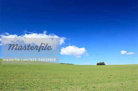 Grassland and blue sky with clouds, Hokkaido