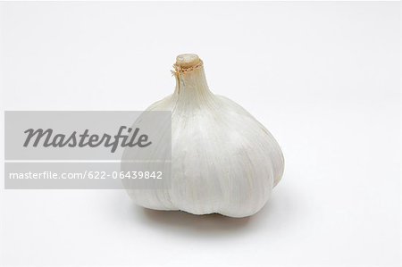 Knoblauch vor weißem Hintergrund