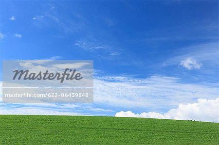 Grünland und blauer Himmel mit Wolken, Hokkaido