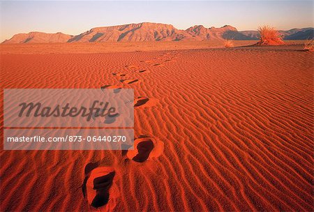 Fußabdrücke im Sand Pella, nördliche Provinz Westkap in Südafrika Fußabdrücke im Sand Pella, nördliche Provinz Westkap in Südafrika