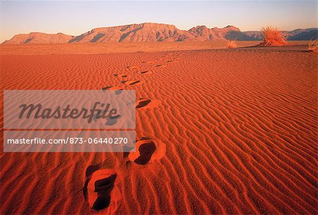 Empreintes dans le sable Pella, Northern Cape en Afrique du Sud