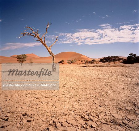 Desert Sossusvlei, Namib Desert Namibia