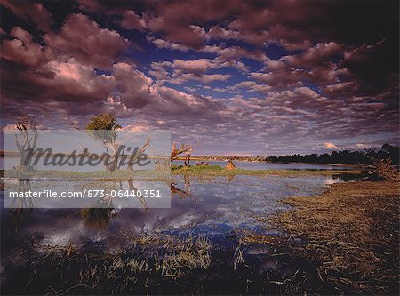 Rivière Chobe et nuageux ciel Botswana, Afrique du Sud