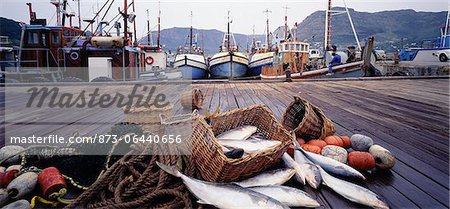 Fish on Dock, South Africa