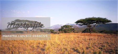 Scenic Tanzanie, Afrique