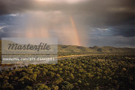 Regenbogen, Luangwa Valley, Zambia
