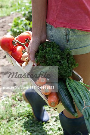 Jeune femme avec des légumes dans le panier