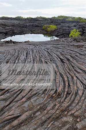 Lava flow, Fernandina Island, Galapagos Islands, UNESCO World Heritage Site, Ecuador, South America