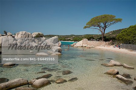 Palombaggia Beach near Porto-Vecchio, Corsica, France, Mediterranean, Europe