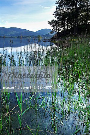 Derwent Water, Lake District-Nationalpark, Cumbria, England, Vereinigtes Königreich, Europa