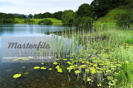 Loughrigg Tarn, Lake District-Nationalpark, Cumbria, England, Vereinigtes Königreich, Europa