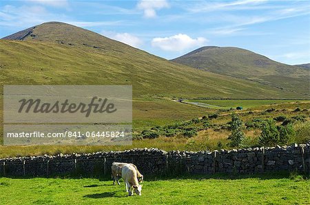 Slieve Meelmore und Slieve Meelbeg, Mountains of Mourne, County Down, Ulster, Nordirland, Vereinigtes Königreich, Europa