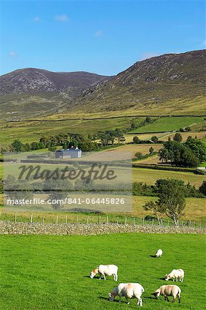 Luke's Mountain, Mourne Mountains, County Down, Ulster, Northern Ireland, United Kingdom, Europe