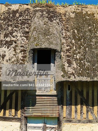 Ancien typique au toit de chaume et les bâtiments de la ferme de colombages moitié, Pierrefitte en Auge, Calvados, Normandie, France, Europe