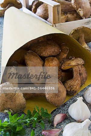 Steinpilzen Pilze (Boletus Edulis) im Sack und in einer Holzkiste, Italien, Europa