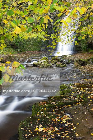 Waterfall and autumn foliage at Blaen-y-Glyn, Brecon Breacons National Park, Powys, Wales, United Kingdom, Europe