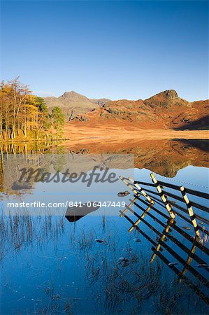 Spiegel wie Reflexionen an Blea Tarn, Lake District-Nationalpark, Cumbria, England, Vereinigtes Königreich, Europa