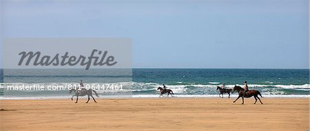 Horse riders galloping down sandy Cornish beach on a summer's day, Sandymouth, Cornwall, England, United Kingdom, Europe