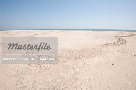 Circular path made by turtle coming up to lay eggs in the sand and returning to the sea, coastal Odisha, Orissa, India, Asia