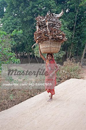 Dorf Frau im roten Sari Tragetasche Korb von trockenen Palm Blätter auf dem Kopf, Ballia, ländliche Orissa, Indien, Asien