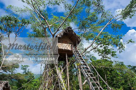 Tree house in a Banyan tree below the Volcano Yasur, Island of Tanna, Vanuatu, South Pacific, Pacific