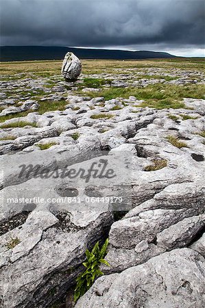 Limestone Pavement and Standing Stone,Twisleton Scar, Yorkshire Dales, North Yorkshire, Yorkshire, England, United Kingdom, Europe