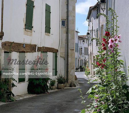 Typische Straßenszene mit Stockmalven, St. Martin, Ile de Re, Poitou-Charentes, Frankreich, Europa