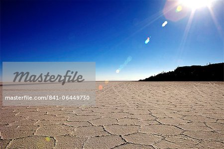 Isla de los Pescadores and salt flats, Salar de Uyuni, Southwest Highlands, Bolivia, South America Isla de los Pescadores and salt flats, Salar de Uyuni, Southwest Highlands, Bolivia, South America