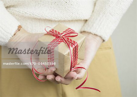 Hands holding a gift box Hands holding a gift box