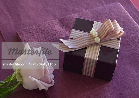 Boîte de cadeau et de rose Boîte de cadeau et de rose
