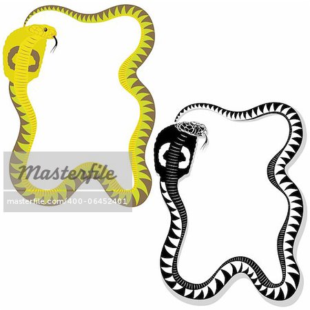 Venomous snake in color and monochrome versions. Illustration on white background.