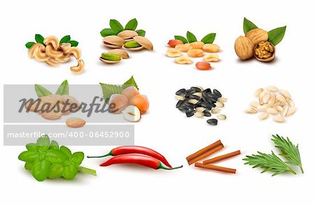 Big set of ripe nuts and seeds and spices  Vector