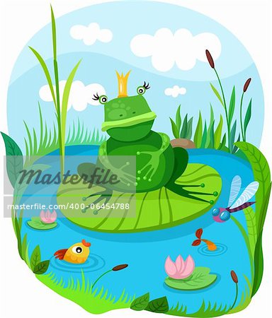 vector illustration of a frog