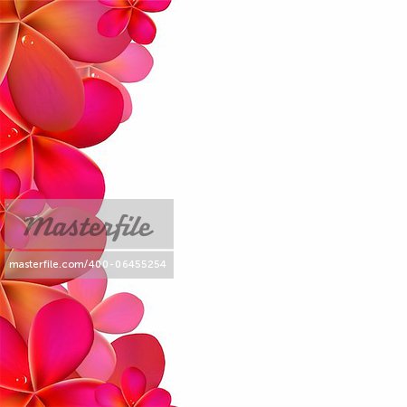 Frangipani Frame With Water Drops, Vector Illustration