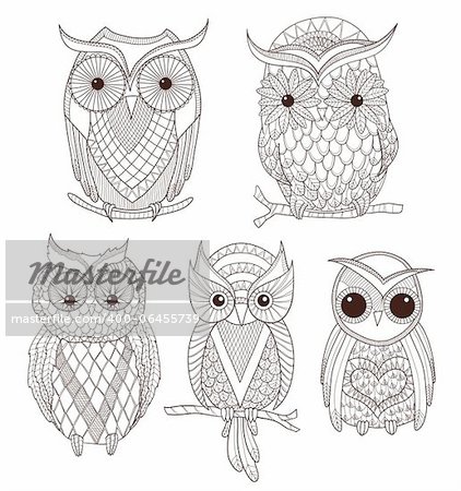 Set of cute owls.