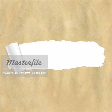 Package Paper Torn With Gradient Mesh,  Vector Illustration