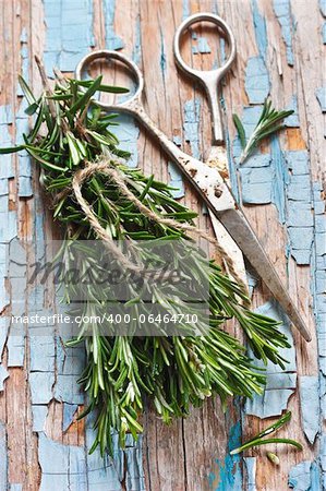 Bunch of fresh rosemary and old scissors on a wooden background.