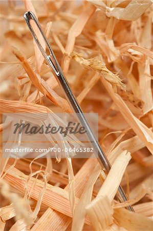 Close-Up of Needle in Haystack