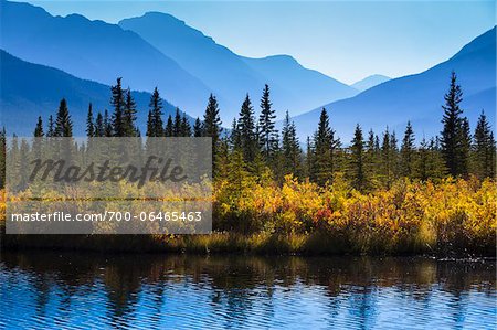 Autumn Vegetation and Mountain Range at Vermilion Lakes, near Banff, Banff National Park, Alberta, Canada