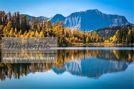 Larix Lake with Autumn Larch, Rock Isle Trail, Sunshine Meadows, Mount Assiniboine Provincial Park, British Columbia, Canada