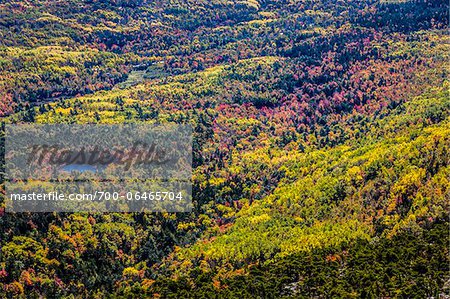 View of Valley with Fall Colours as seen from Cadillac Mountain, Acadia National Park, Mount Desert Island, Hancock County, Maine, USA View of Valley with Fall Colours as seen from Cadillac Mountain, Acadia National Park, Mount Desert Island, Hancock County, Maine, USA