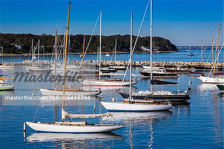 Sailboats in Marina, Vineyard Haven, Tisbury, Martha's Vineyard, Massachusetts, USA