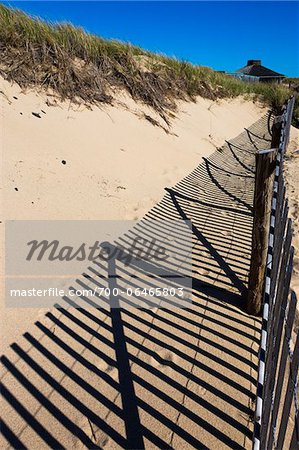 Shadow of Fence on Sand Dune, Race Point, Cape Cod, Massachusetts, USA