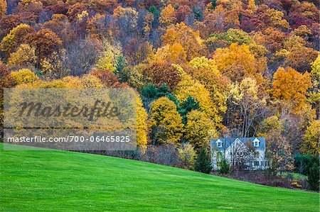 Country House in Forest by Green Field, Lenox, Berkshire County, Massachusetts, USA