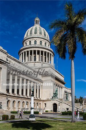 El Capitolio with Palm Tree, Old Havana, Havana, Cuba