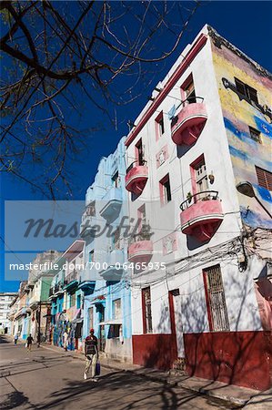 Street View of Callejon de Hamel, Havana, Cuba