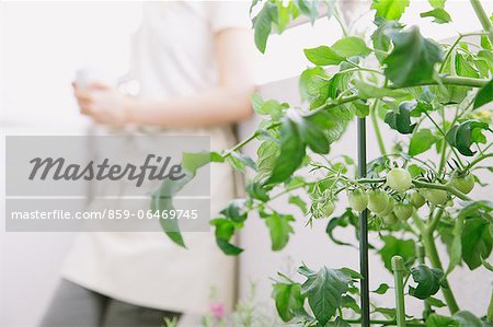 Potted plants and woman relaxing in the background