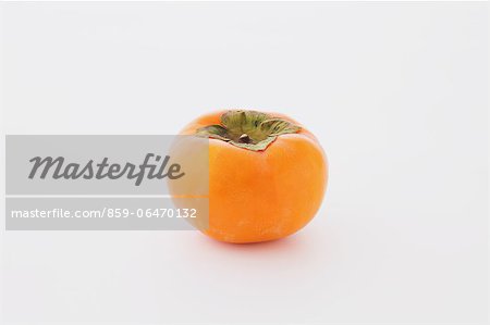 Japanese Persimmon