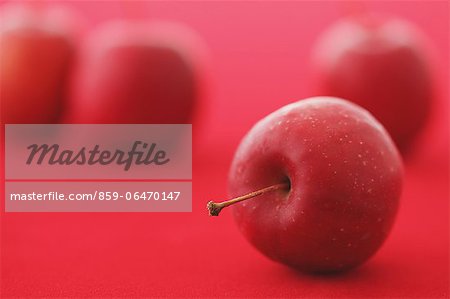 Red apples on red background
