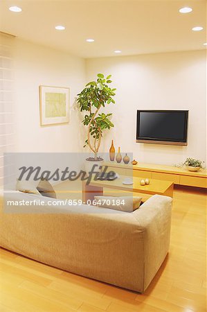 Living room with a plant, furniture and a LCD TV on the wall